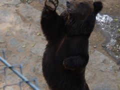 -石家庄市动物园