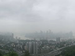 -老幺泉水鸡