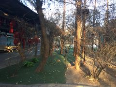 -大鹅岛绿色生态美食园