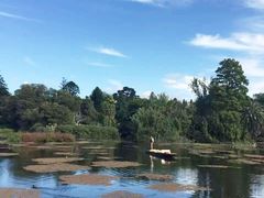 -墨尔本皇家植物园