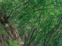 -北京密云天门山风景区