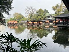 -侨美·唐荔园·40年地道粤菜