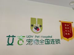 -艾吉宠物医院·疑难杂症转诊中心·猫友好(碧江路院)