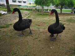 -蓝地时尚庄园(北京清河营地铁站店)