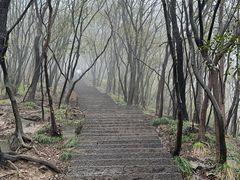 -紫金山山顶公园