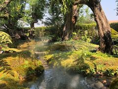 -Chom Cafe and Restaurant