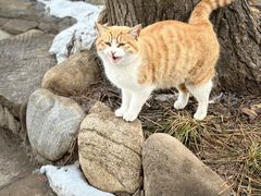 -终南山南五台景区