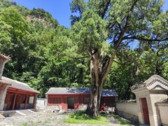 -北京上方山国家森林公园