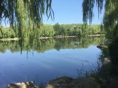 -阿尔丁植物园