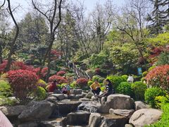 -北岭山森林公园