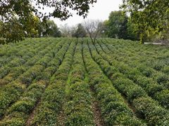 景点-敬亭山风景名胜区
