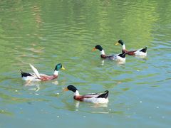 -上海交通大学(闵行校区)