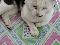 -庆岭迎宾园正宗活鱼馆