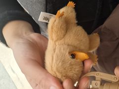 -Animate(工人体育场东路店)