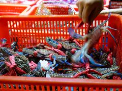 -巽寮印象美食部落餐厅·海鲜·地方特色菜(惠州体验店)