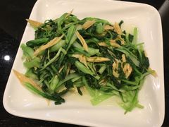 酒香鸡毛菜炒腐竹-新南华大酒店(广中店)
