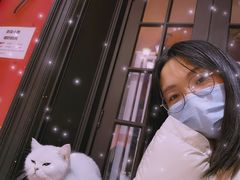 -猫色咖啡·猫咖