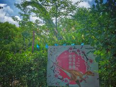 -自然谷恐龙园