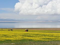 -青海湖国家重点风景名胜区