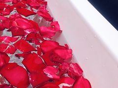 -三亚湾海居铂尔曼度假酒店