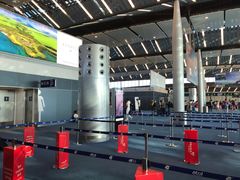 -西沃古尔·拉姆古兰爵士国际机场