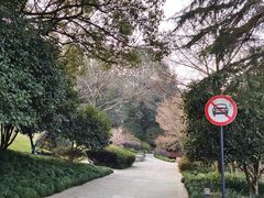 -中国茶叶博物馆(双峰馆区)