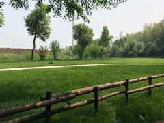 -同里国家湿地公园