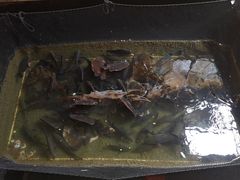 -蓝湾碧波·老字号·疍家非遗海上餐厅