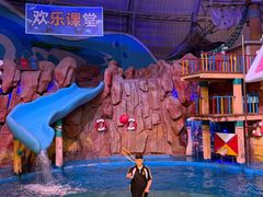 -烟台海昌鲸鲨海洋公园