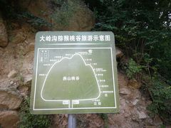 -大岭沟猕猴桃谷风景区