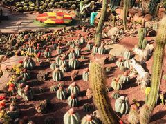 -南通洲际绿博园