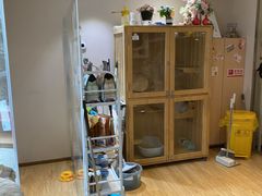 -Pets First伊珊娜洗护·精致美容·家庭式寄养(新会路店)