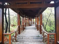 -金陵矩阵(聚宝山公园店)