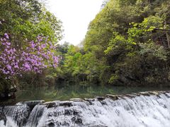 -石台牯牛降景区