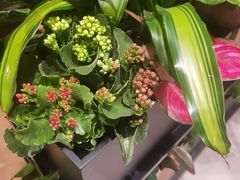 -半秋山西餐厅(销品茂店)