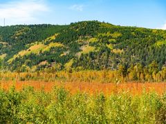 -北极村旅游风景区