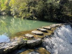 -石台牯牛降景区