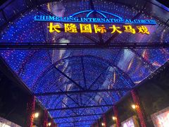 -广州长隆国际大马戏