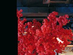 -探花·意境江南菜·唐伯虎文化体验店·松鼠桂鱼(观前店)