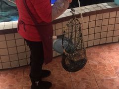 -稻香村鱼庄