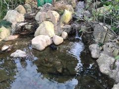 -梅峰山地公园