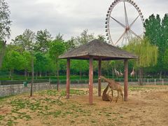 -石家庄市动物园