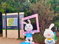 -日照海滨国家森林公园