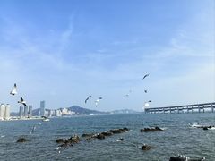 -大连自然博物馆