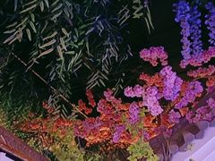 -庭院江南菜•烤鸭•非遗传承(丰台总部基地店)