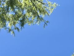 -草根堂农场
