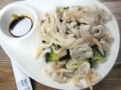 -鲁前海沿儿