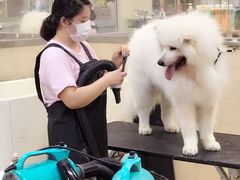 -多卡布奇宠物生活馆(上林世家店)