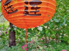 -太阳宫公园