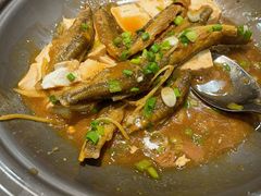 溪鱼焖豆腐-鹭岛新泉客家菜·海鲜·融合菜(莲前店)